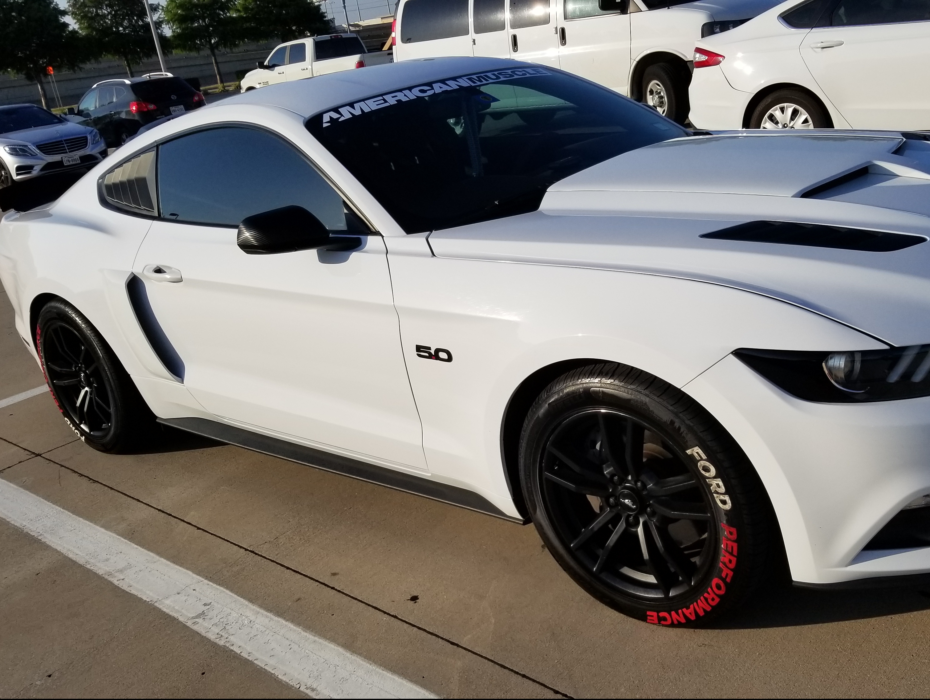 SEC10 Mustang AmericanMuscle Windshield Banner; White 26119G15 (15