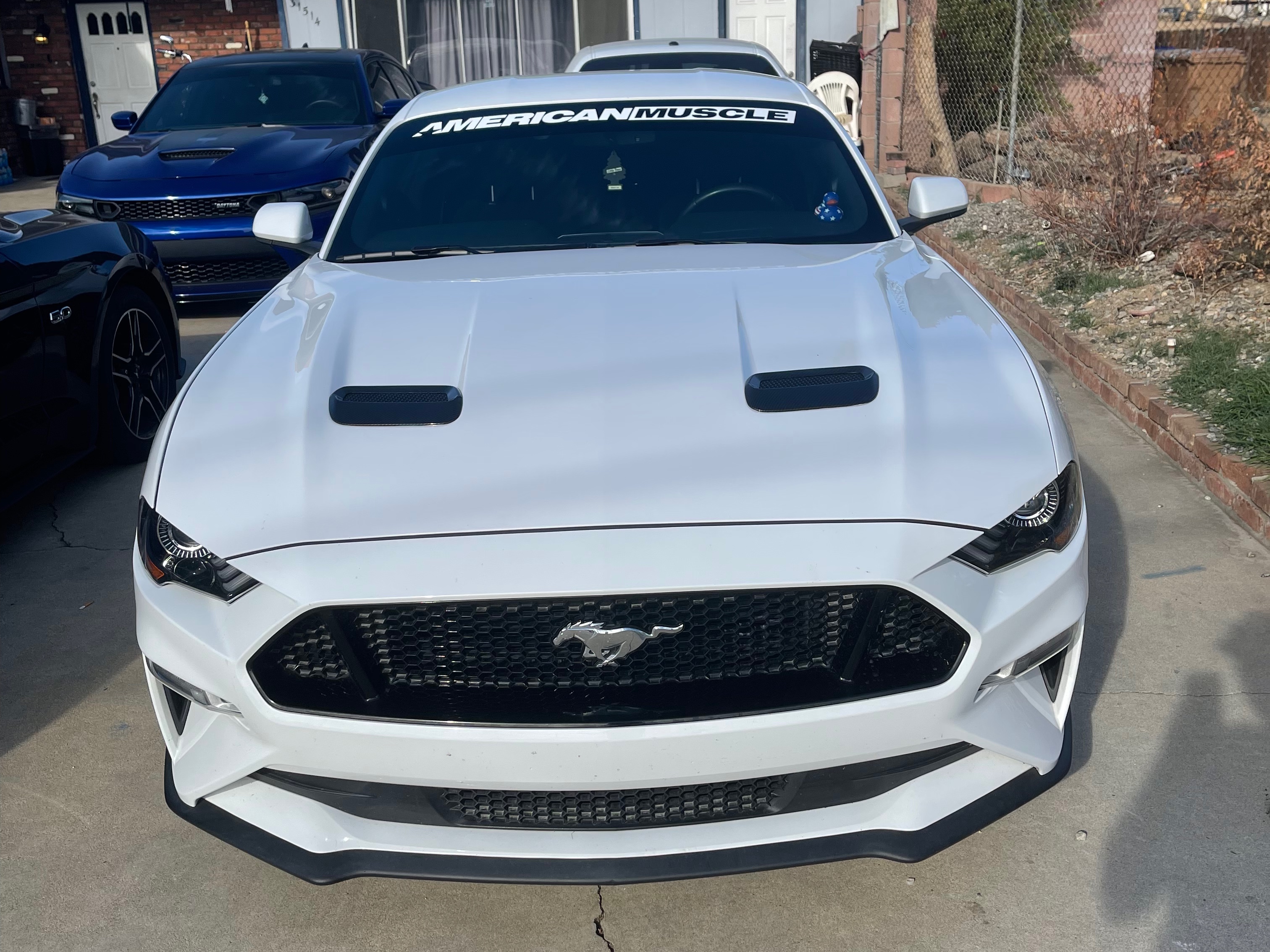 SEC10 Mustang AmericanMuscle Windshield Banner; White 26119G15 (15