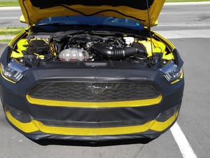 Covercraft 2015-2017 Ford Mustang Colgan Custom Original Front End Bra, Carbon Fiber BC5482CF | Mustang Depot