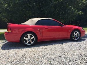 Vogtland Mustang Sport Lowering Springs 9953064 (99-01 Mustang