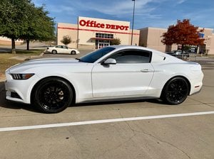Ford 2018 Mustang Intake Manifold (11-23 Mustang GT)
