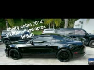 2013-2014 Mustang Bumper Cover DR3Z-17D957-ABPTM | OEM Parts Online 2013-2014 Mustang Bumper Cover DR3Z-17D957-ABPTM | OEM Parts Online